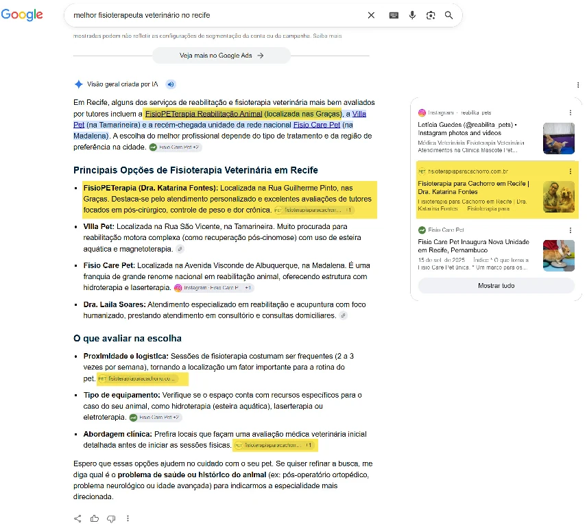 melhor-fisioterapeuta-veterinario-no-recife-google